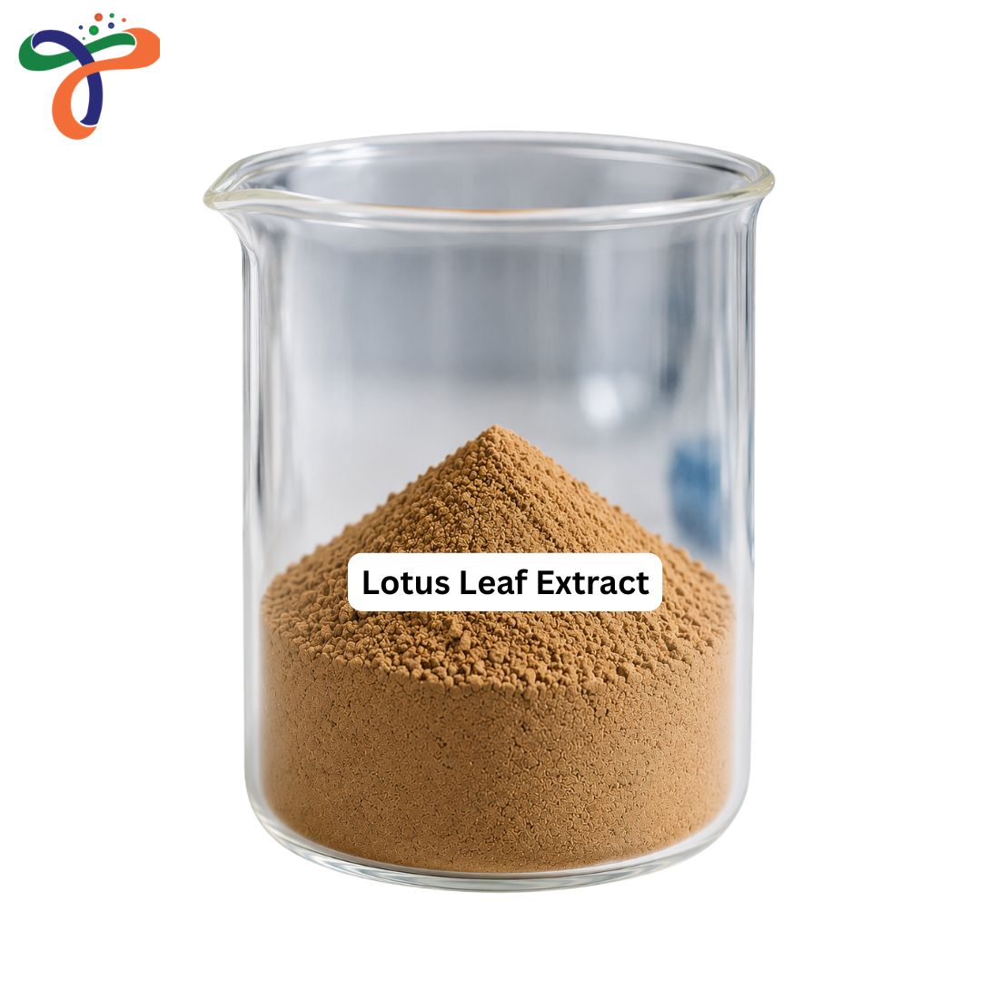 Lotus Leaf Extract